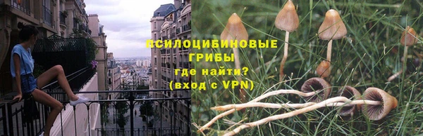 хмурый Вязники